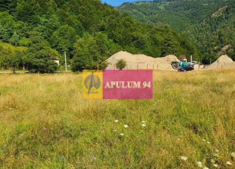 Teren Jude?ul Valcea - Brezoi, Valea lui Stan - 2