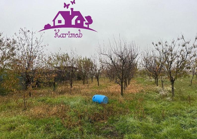 Parcela de teren Nojorid - 5