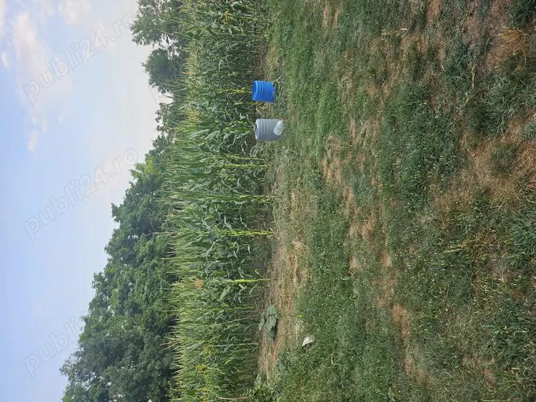 Casa de vanzare + teren ieftina - 2