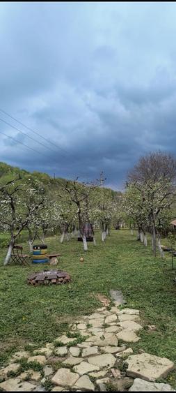 Casa cu mansardă și livada - 2
