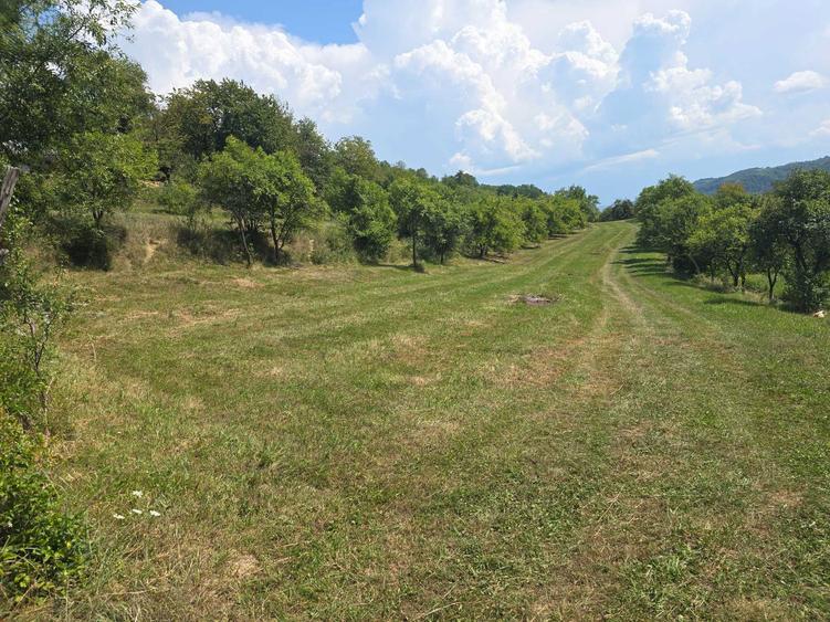 Vand parcele de teren - 3