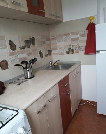 Inchiriez garsoniera confort I zona parc Brancu?i-Titan - 5