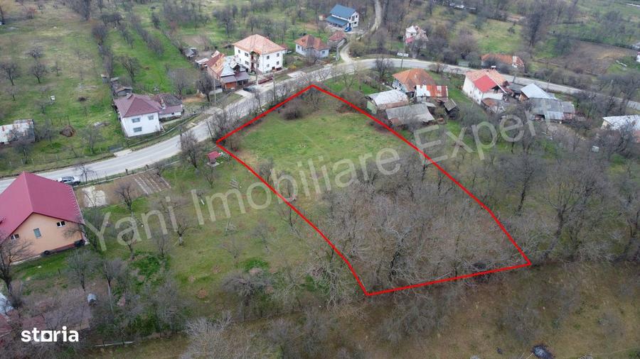 Teren de vanzare in comuna Cepari, jude? Arge?. - 2