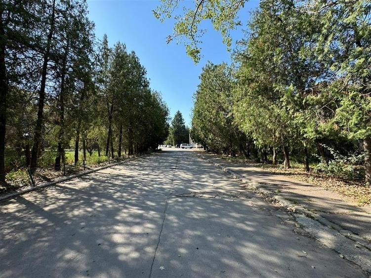 Hala industriala 1.240mp utili si teren in suprafata de 3.848 mp - 7