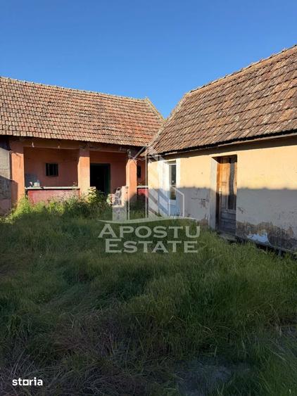 Casa de caramida in Sustra ,Topolovatul Mare cu teren de 1522 mp. - 14