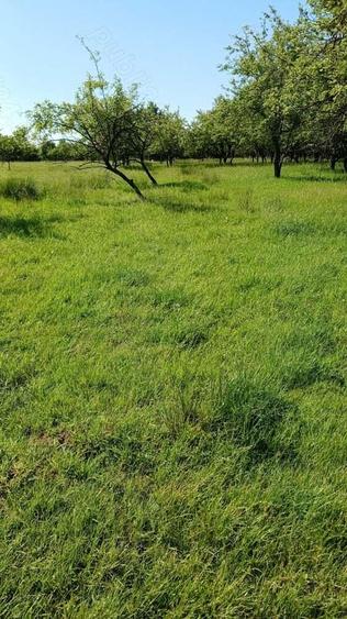 REDUCERE DE PRET! Teren in zona Sub Dura ,40 ari pentru constructii industriale - 1