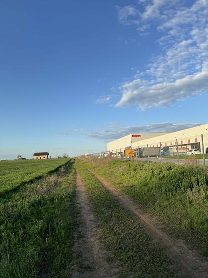 Teren Dragomiresti DEAL - 6