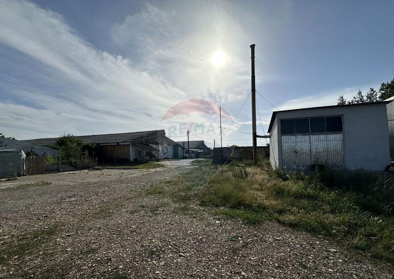 Spa?iu industrial Hale si Fabrica de lemn - 4