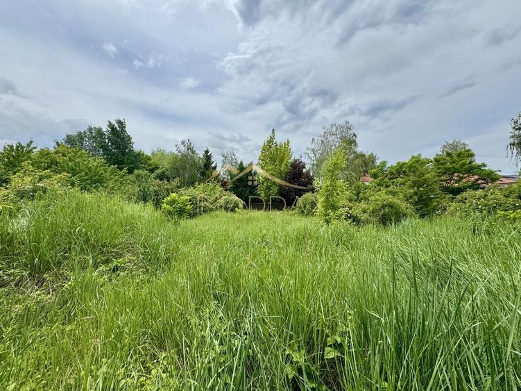 Vila cu 5 camere *616mp* / 1600mp teren / Corbeanca - 41