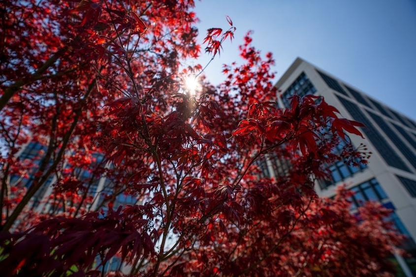 Birouri de inchiriat in Bucharest Business Garden - cladirea B - 8