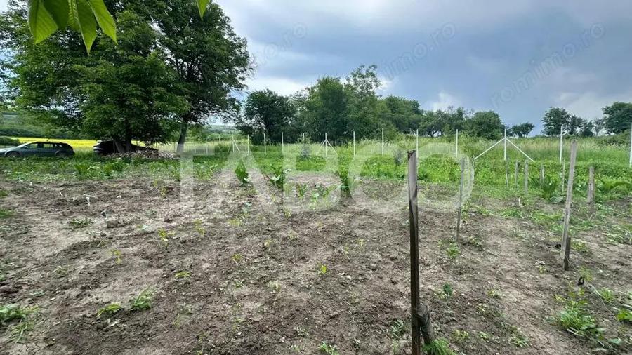 Casa individuala Comision 0% teren 800 mp 3 camere anexe Rusi Sibiu - 12