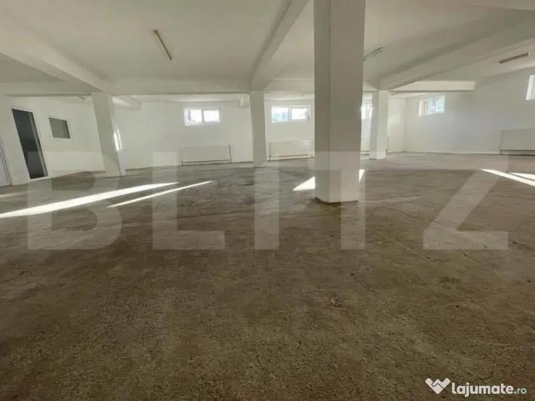 Demisol spa?ios de 259 mp de inchiriat Centura ideal pe - 9