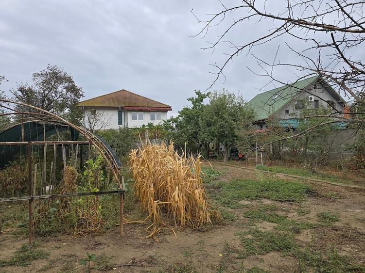 Magurele/Darasti-Ilfov/Vila individula cu crama,garaj,foisor,livada si solar - 5