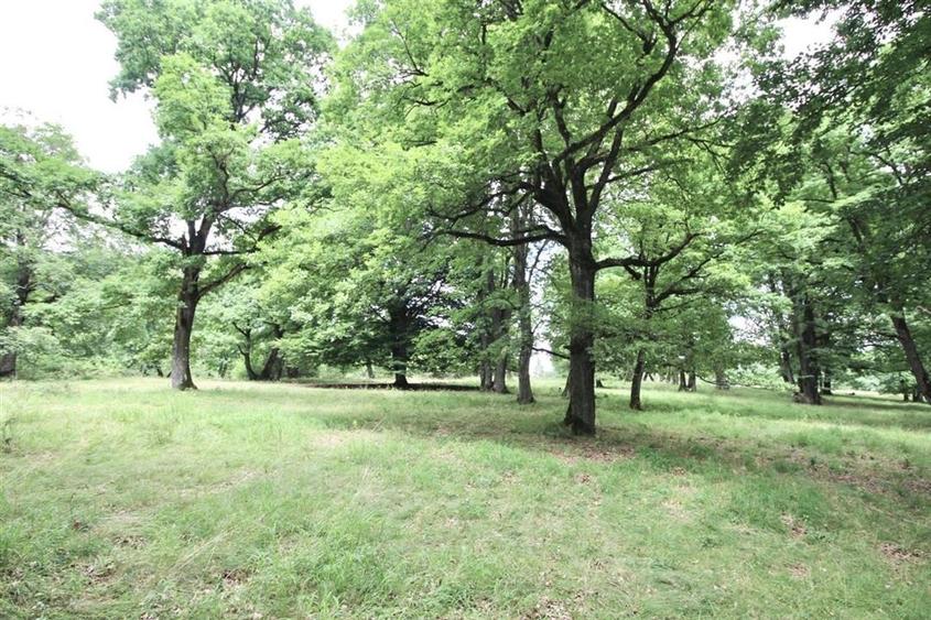 Teren 4713 mp investitie Imobiliara | Poiana Brasov - 2