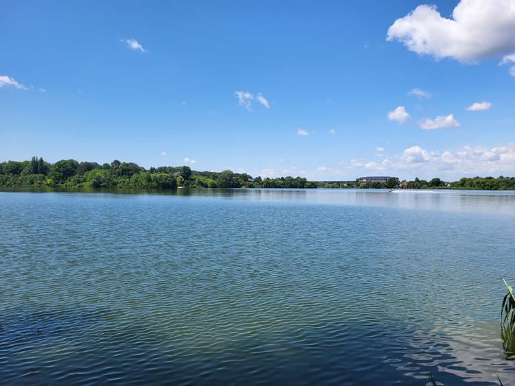 Teren agricol intravilan de 7000 mp, în Snagov