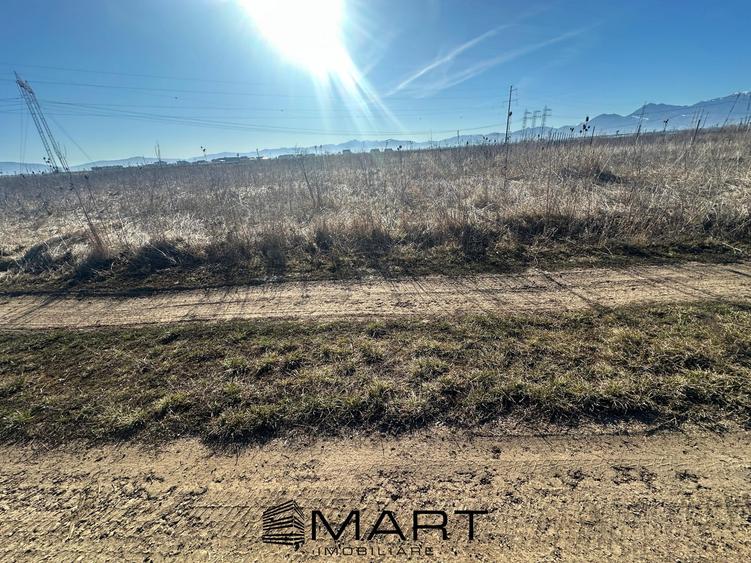 Teren Intravilan 540 mp Sanpetru - 3