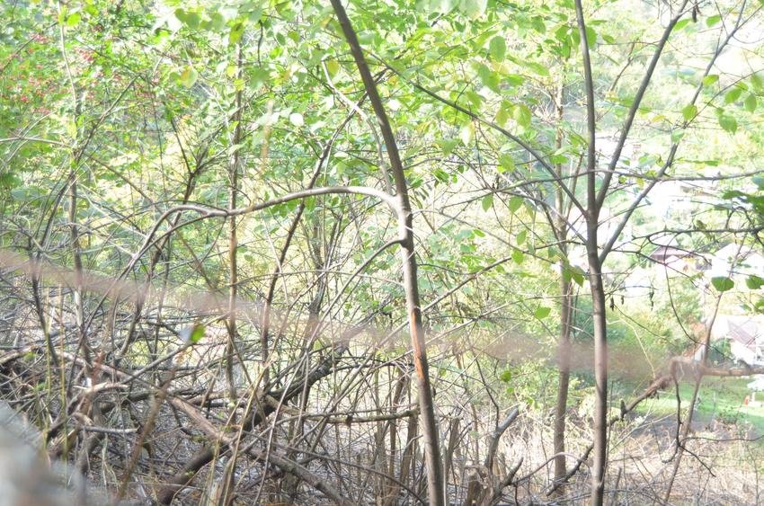 Teren intravilan Brasov-Schei - 2