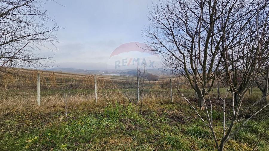 Teren extravilan 10,791mp Falticeni / Strada DJ209A, Opriseni - 12