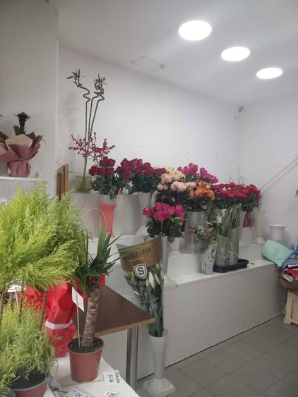 Vand spatiu gara de nord cu chirias stabil - 3