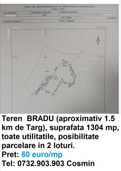 Terenuri Bradu, diverse suprafete - 4