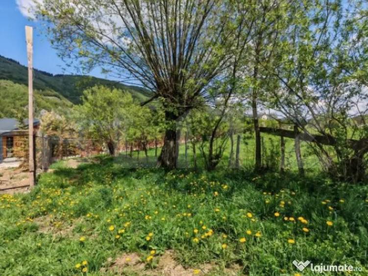 Teren intravilan, 1865 mp, de vanzare in Moieciu - Brasov - 3