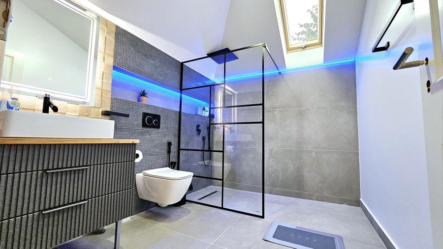 Vila/Casa de inchiriat Centru Civic - 8