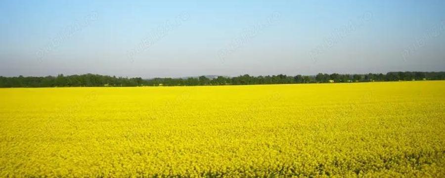 Judetul Dambovita, teren agricol - 2