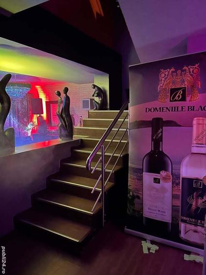 Casa de inchiriat - Vila petreceri - Majorat -Zi de Na?tere - Gender Reveal - Evenimente Private - 8