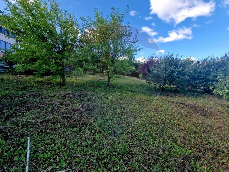 Teren 1,000mp Piatra-Neamt / Strada Pietrelor - 9