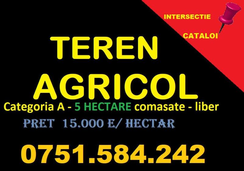 TEREN AGRICOL- categoria A - CATALOI - 3