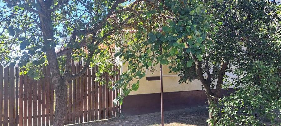 Casa de vanzare in Mailat - 4