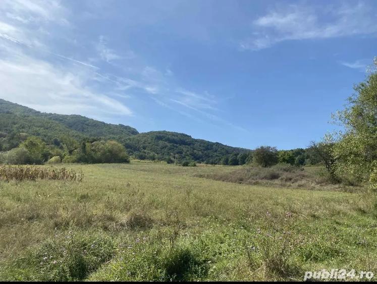 Casa de vanzare+terenuri - 5