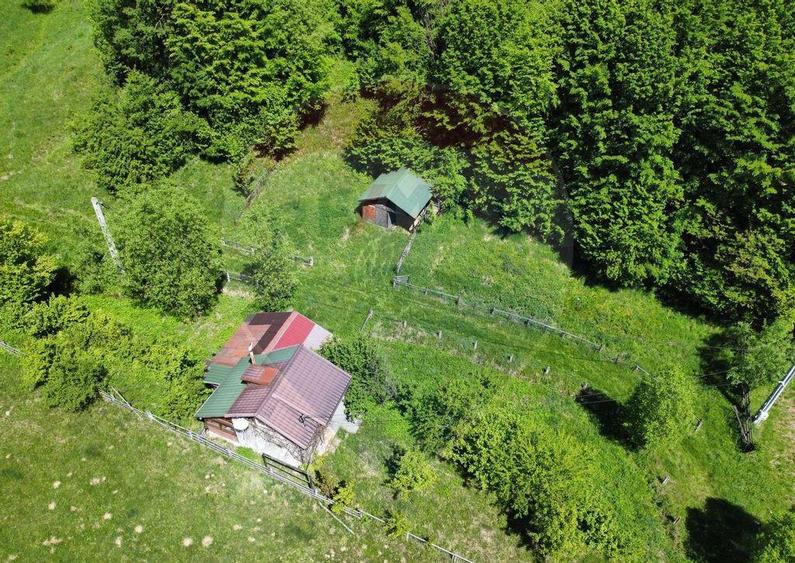 Comision 0%! Proprietate in natura, priveliste superba, S... - 8