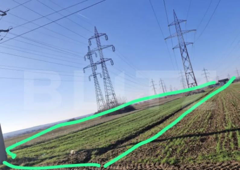 Teren extravilan 5.000 mp | Deschidere 15,79 m | Acces DN7 | - 1