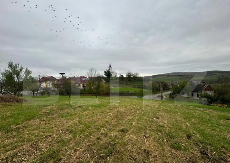 Casa individuala, 3300 mp teren, zona Sintereag - 16