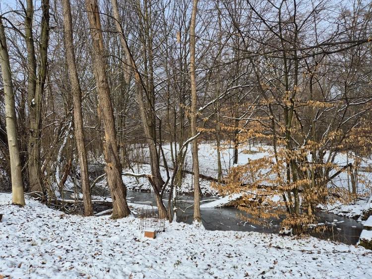 Moșia boierească din vârf de deal, Scorțeni - Prahova, comision 0% - 17