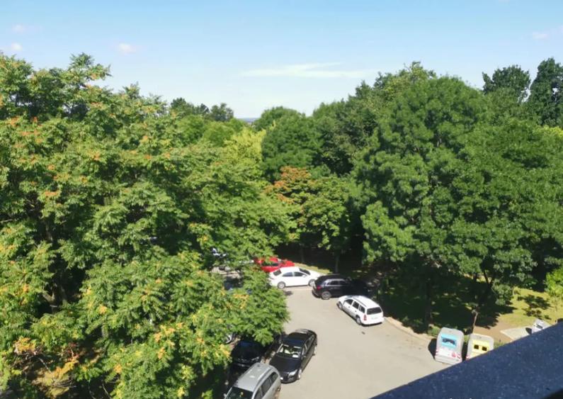 Apartament 73mp cu 3 camere decomandat, 1 Mai vizavi de Spit - 4