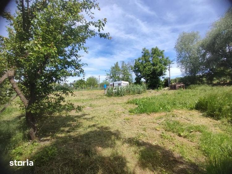 Teren cu parau - Giurgiu / Daia / Plopsoru - 2