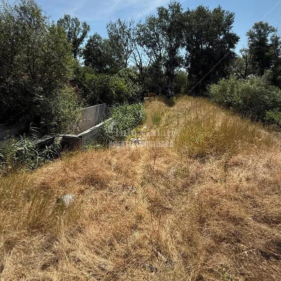 | Teren Intravilan 1600 mp si Hala 100 mp | Barbosi | Cu acces la Siret | - 3