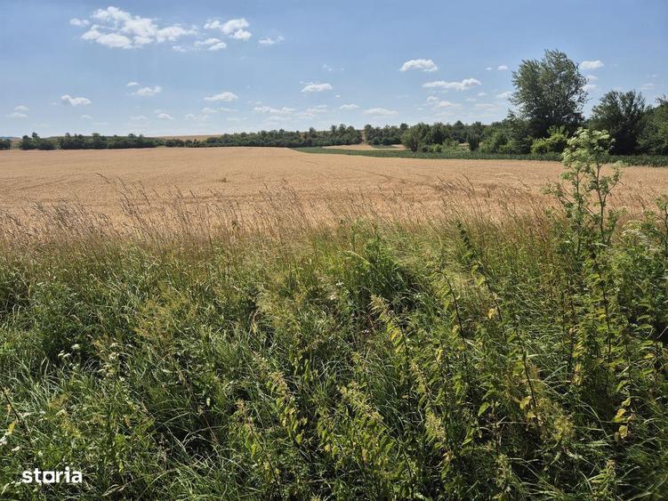 Teren intravilan de vanzare- 7300 mp, in Vintu de jos - 1