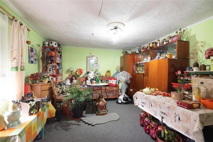 RECO Casa de vanzare in Felcheriu - 25