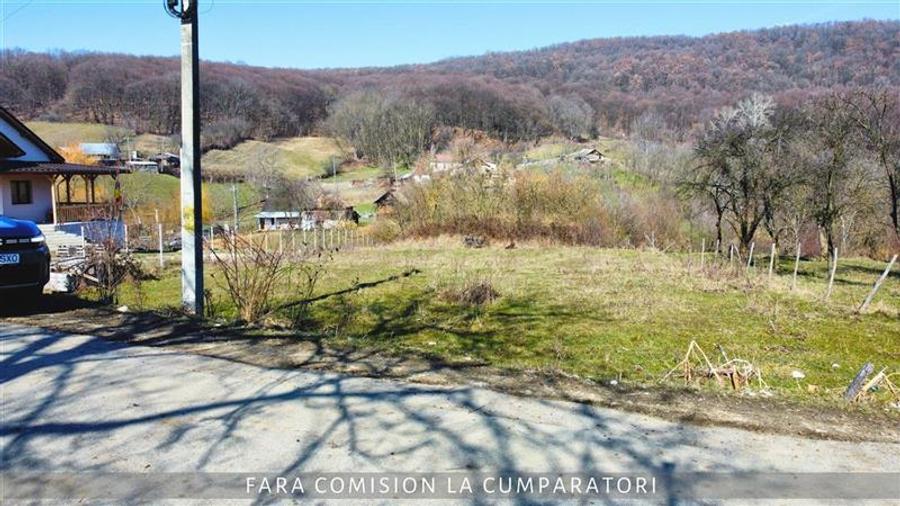 TEREN 872 MP, ZONA LINISTITA, AER CURAT - 6