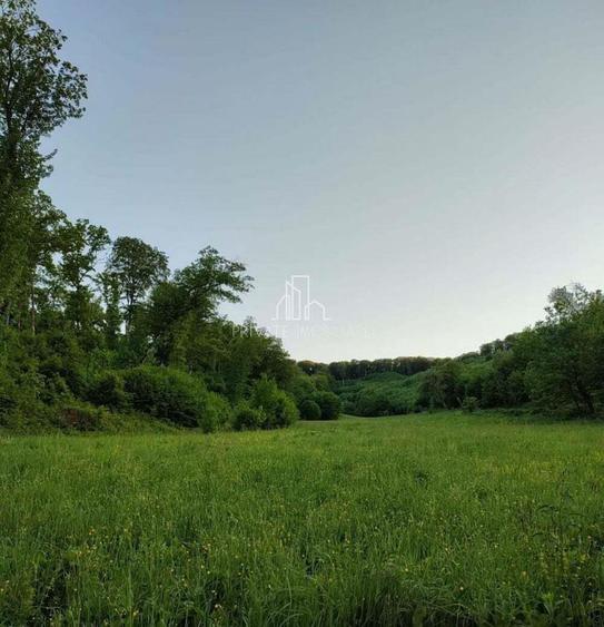 Teren de vanzare, 20.000Mp , Comuna Danes, drumul Crisului - 6