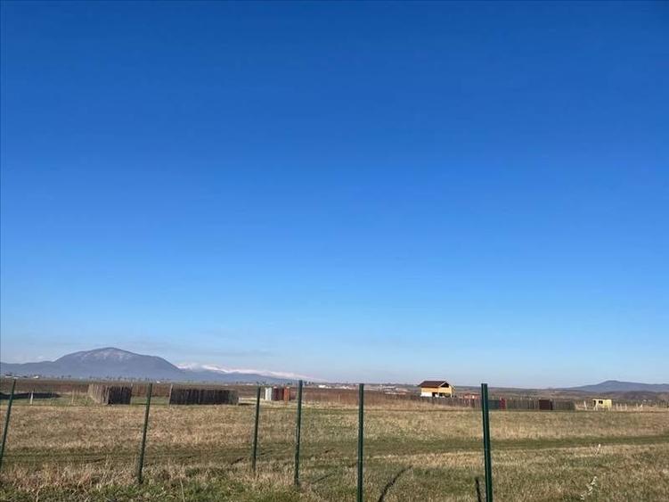 Vanzare terem pentru case Halchiu - 1