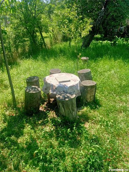 Casa de vanzare Pianul de Sus, Alba - 7