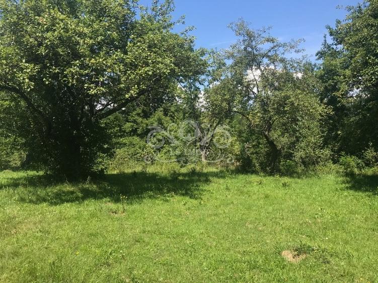 Teren cu livada de vanzare in Albesti de Muscel - 1