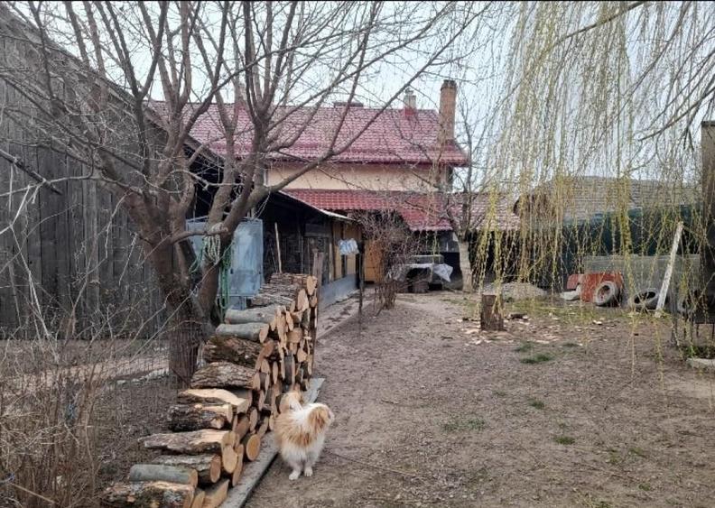 Casa / Vila ( P + E + Pod ) Zona Mitocul Dragomirnei - 1