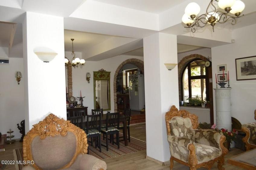 Topoloveni - Conacul Ion Mihalache, Domeniu pe 5 Hectare! - 19