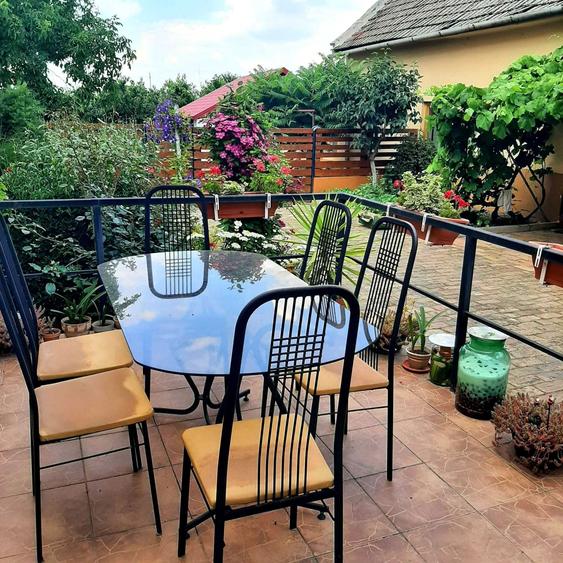 Casa de vanzare in Comuna Cenad, judetul Timis - 4