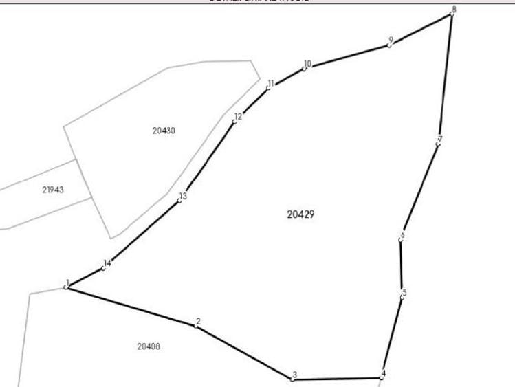 Teren Nehoiu, pentru cabană offgrid sau glamping - 5